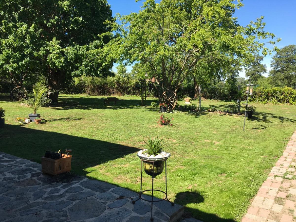 Nouic La Maison D'Olives מראה חיצוני תמונה